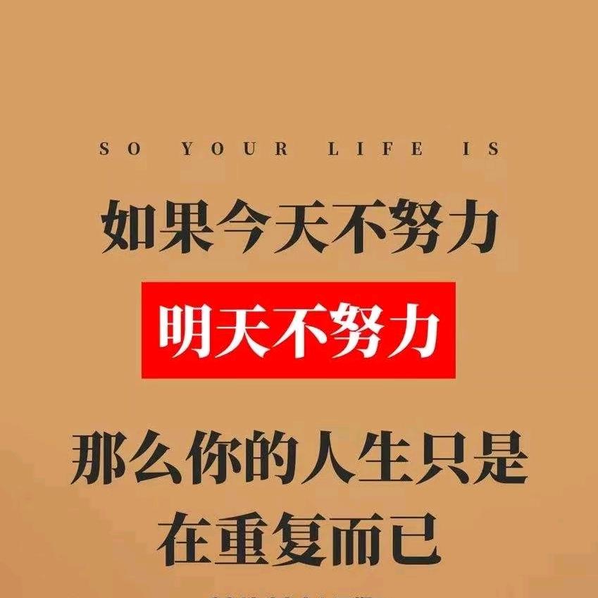 海琪