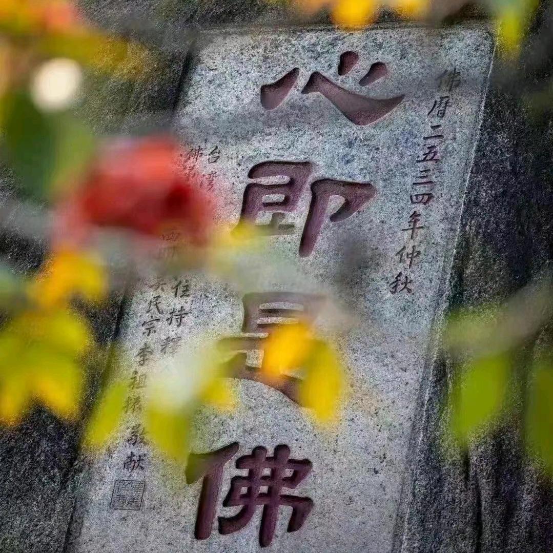 石头💗