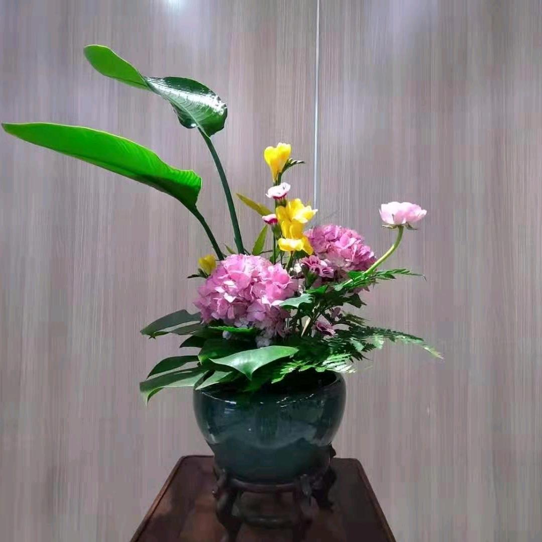 职业提升营