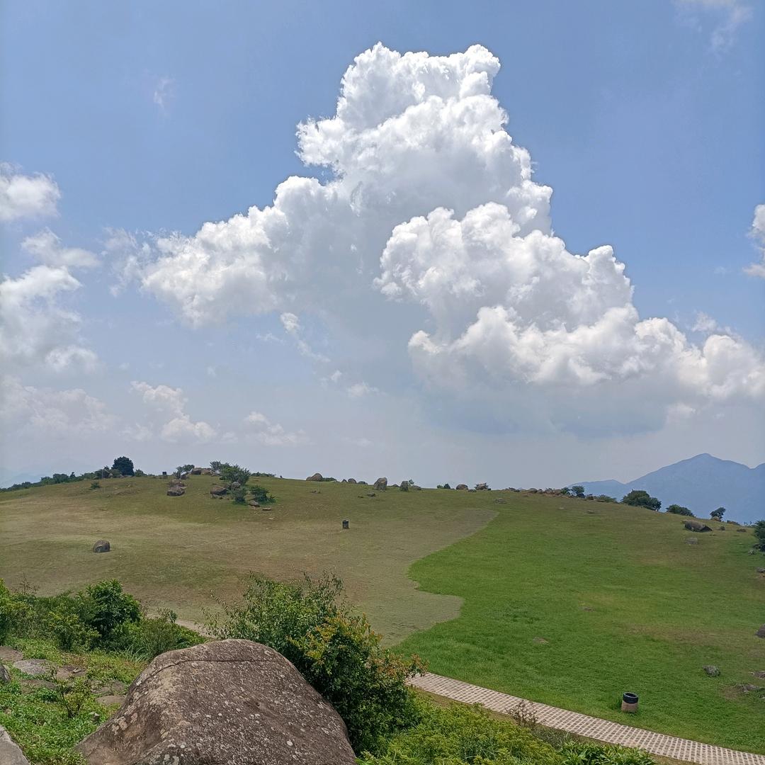 老谢旅行