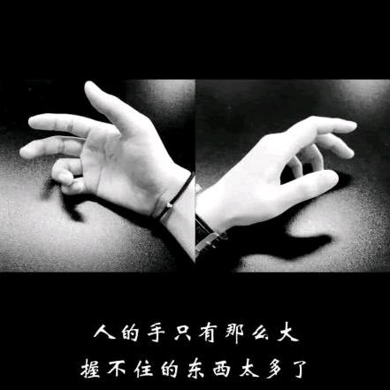 风之翼