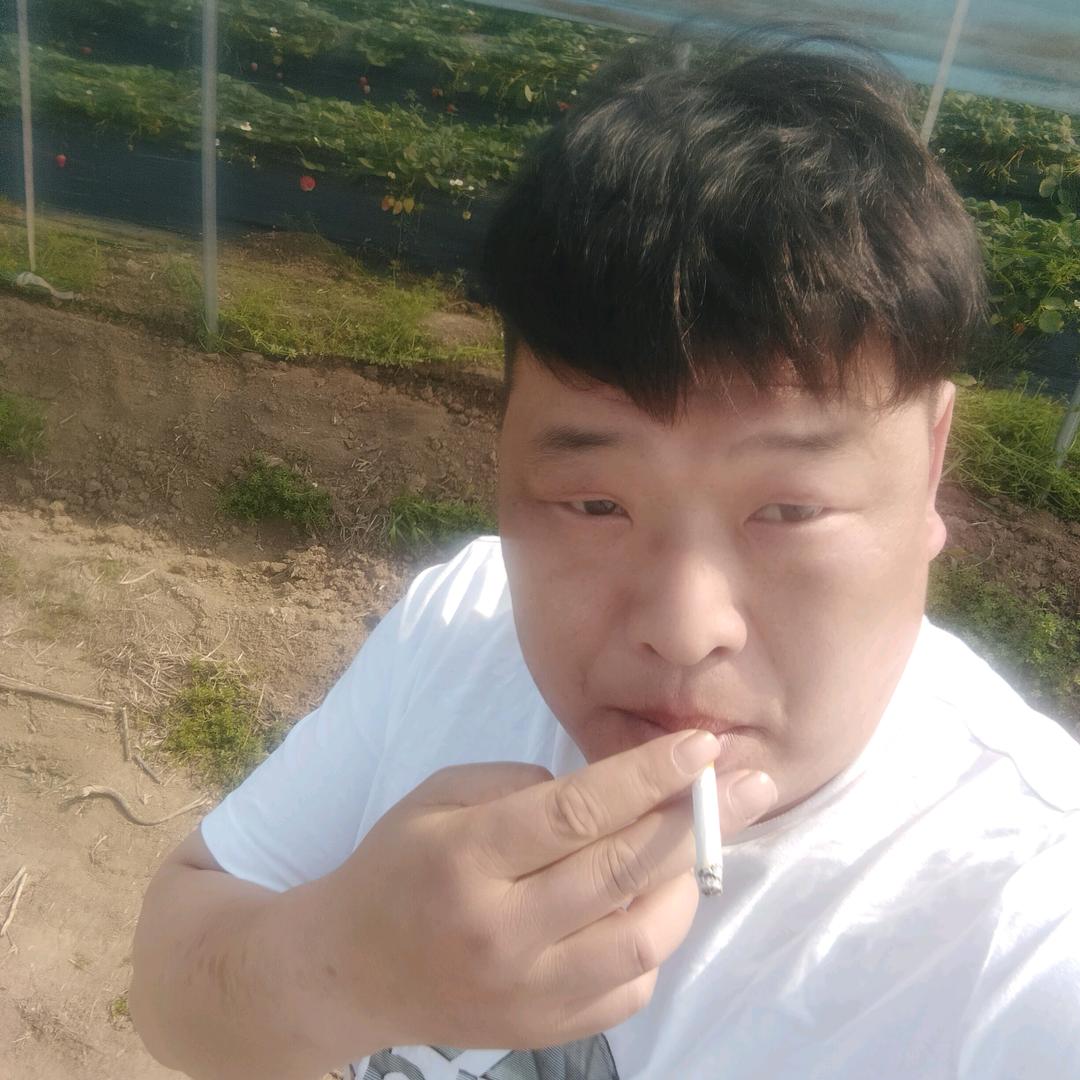 疤哥