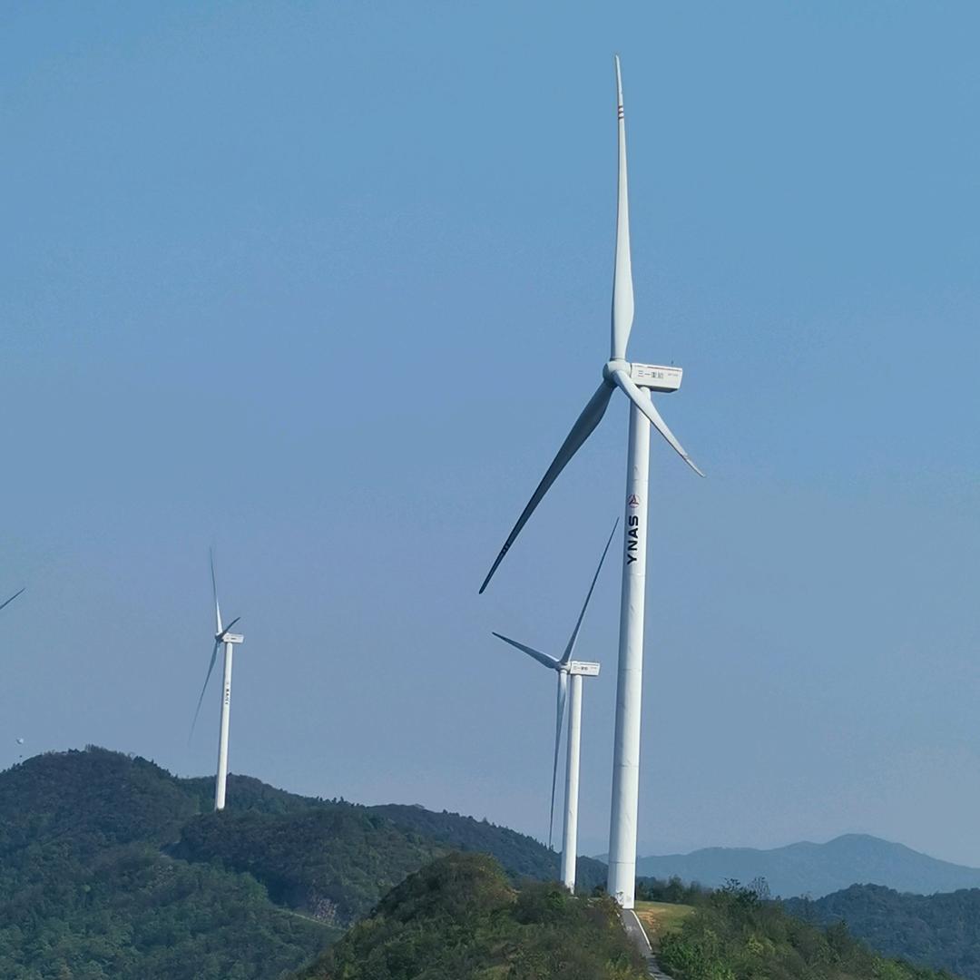 💖孪💖星💖蒂💖子💖