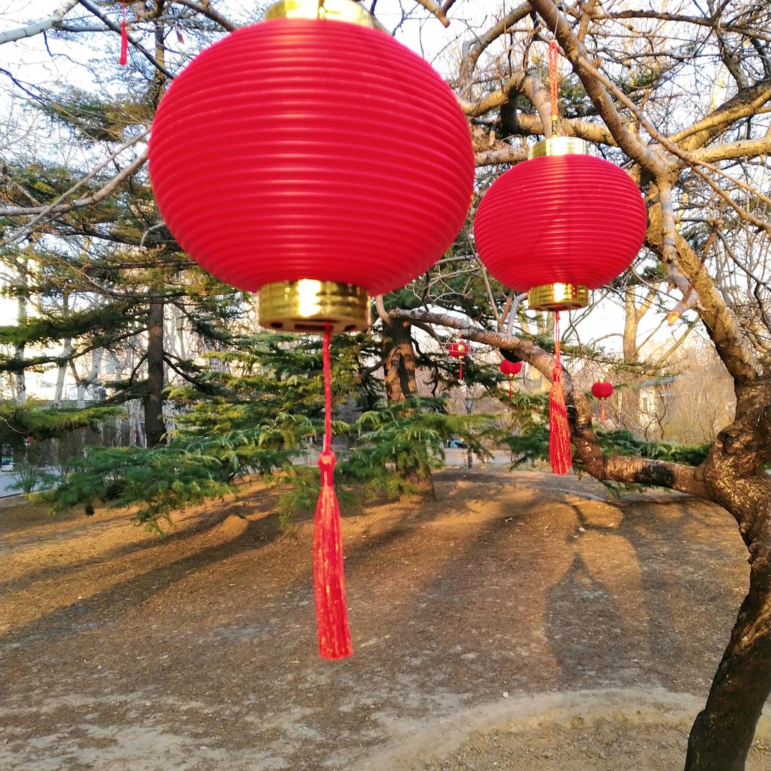 🌸画花