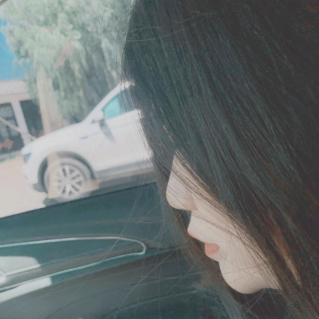 🌈理论木