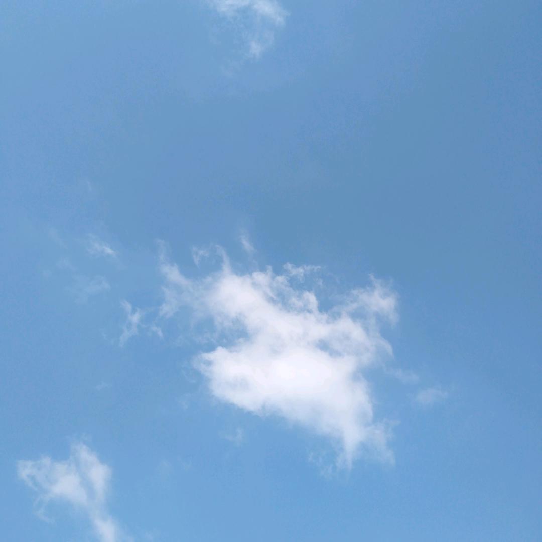 用户白云