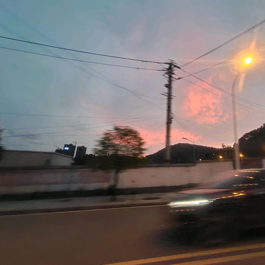 南山无梅落…🏓