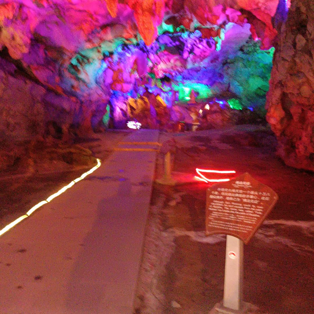 丽姐不定时直播