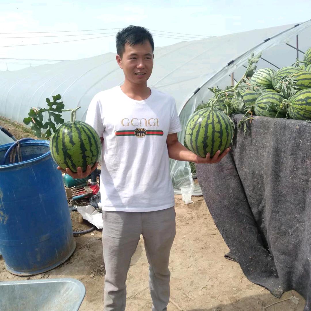 淮阳马振种西瓜辣椒（好物在橱窗）