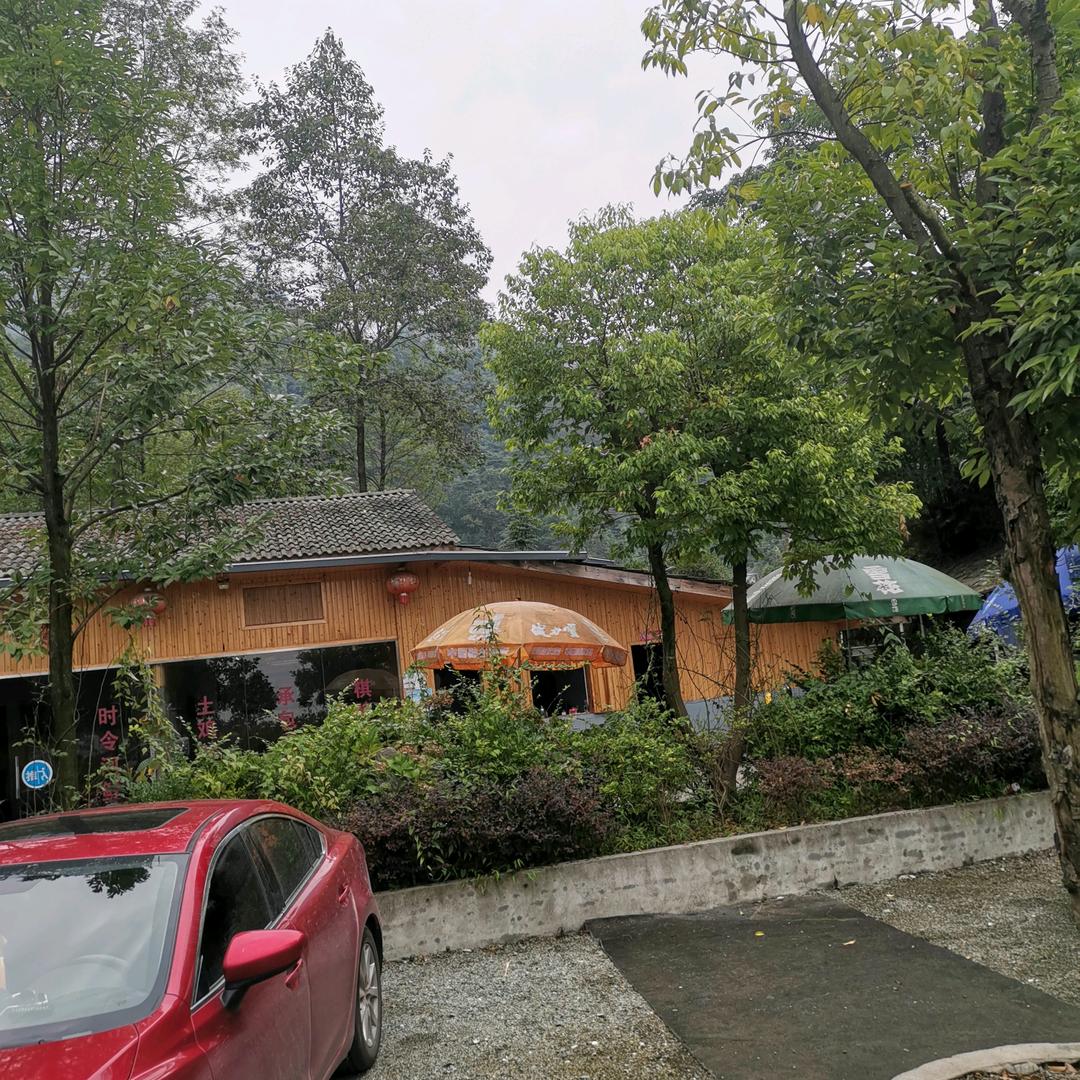 丽辰植保