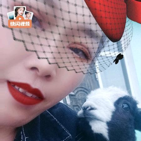 白一玫瑰🌹玫瑰