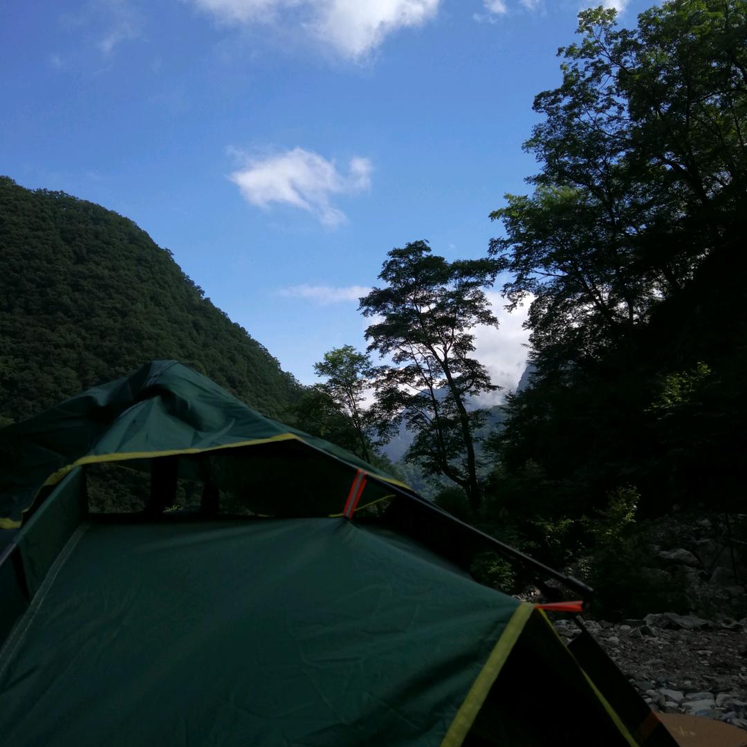 南山仙隐