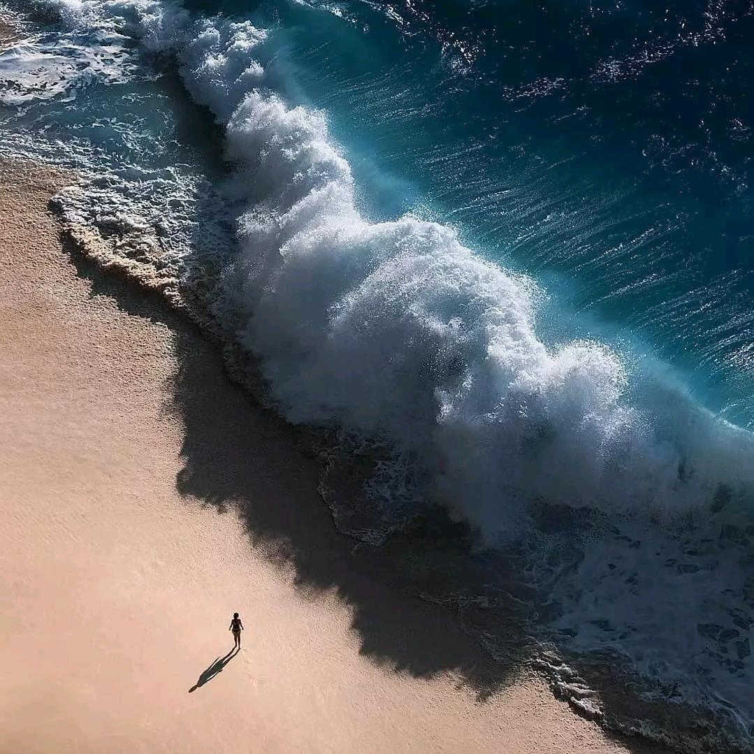 🌊海风伴花香🌸