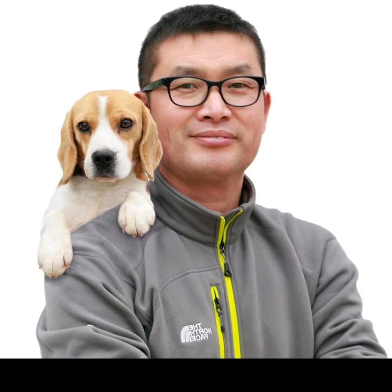 淘气崽  宠物驯练