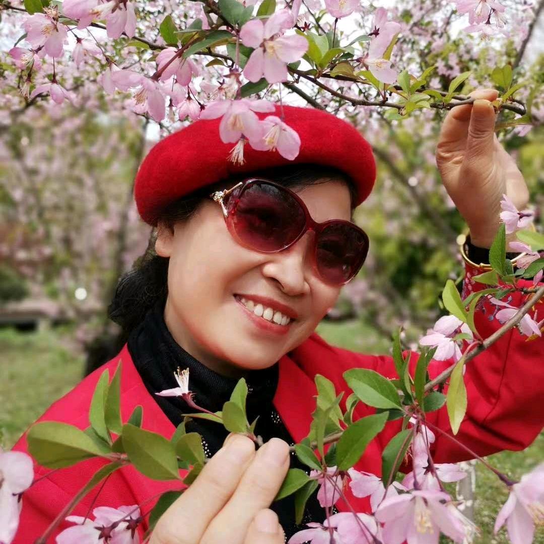 凤凤