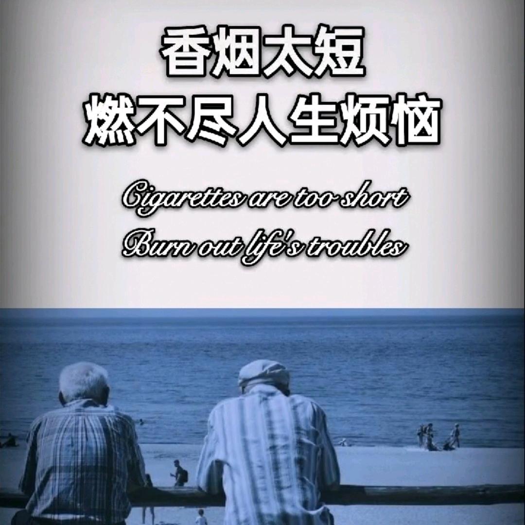 嘚儿驾 i