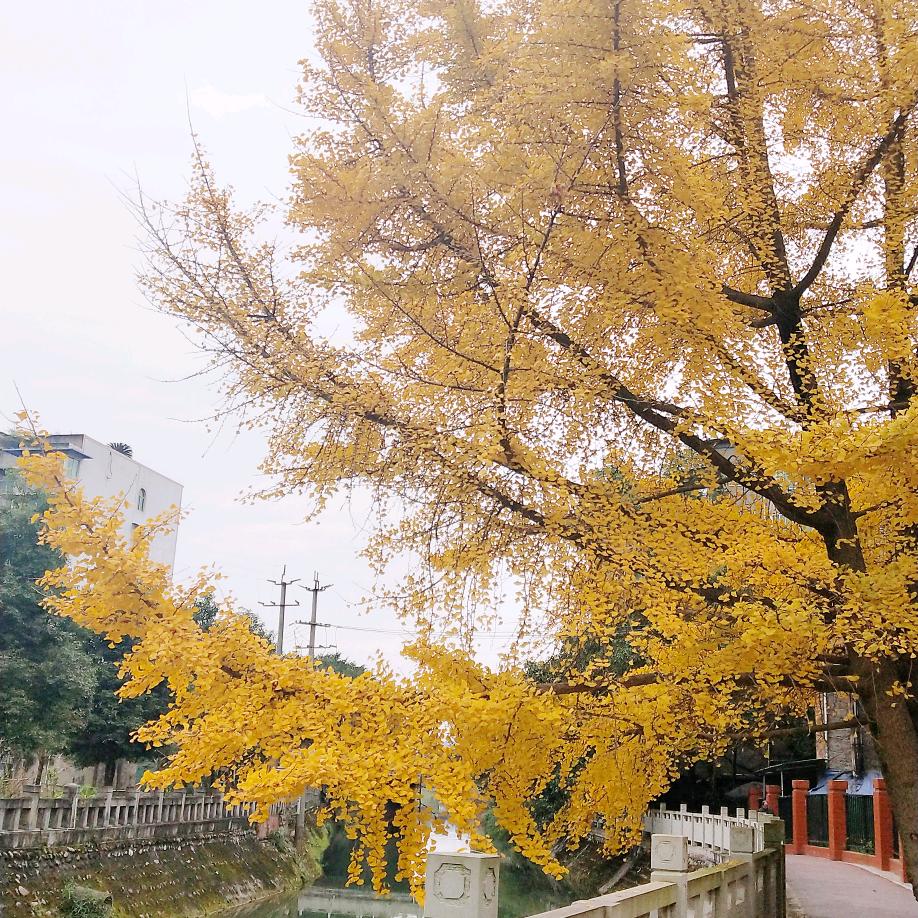 阳光
