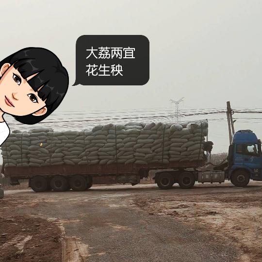 大荔花生秧