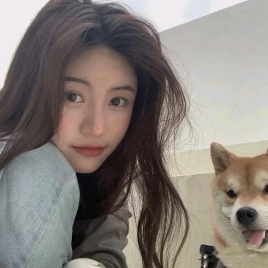 艾莎公主👸