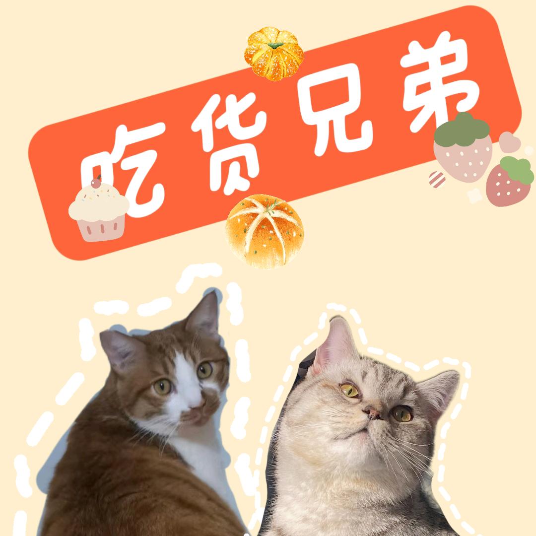 吃吃吃的小胖纸