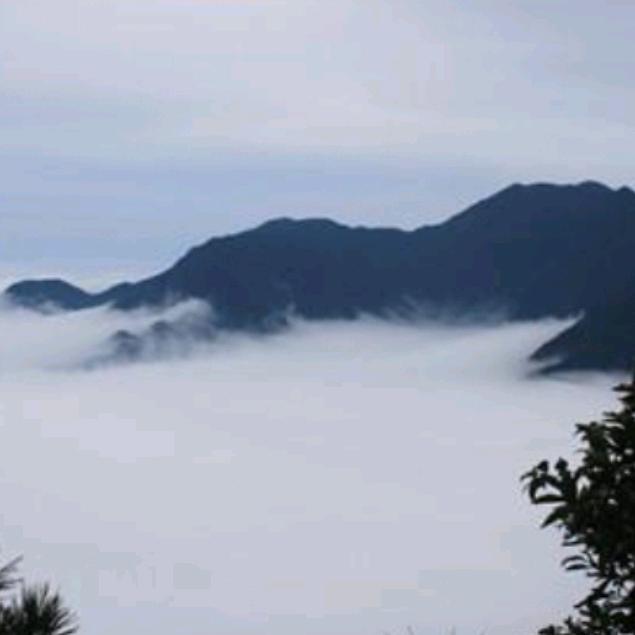 一粒沙