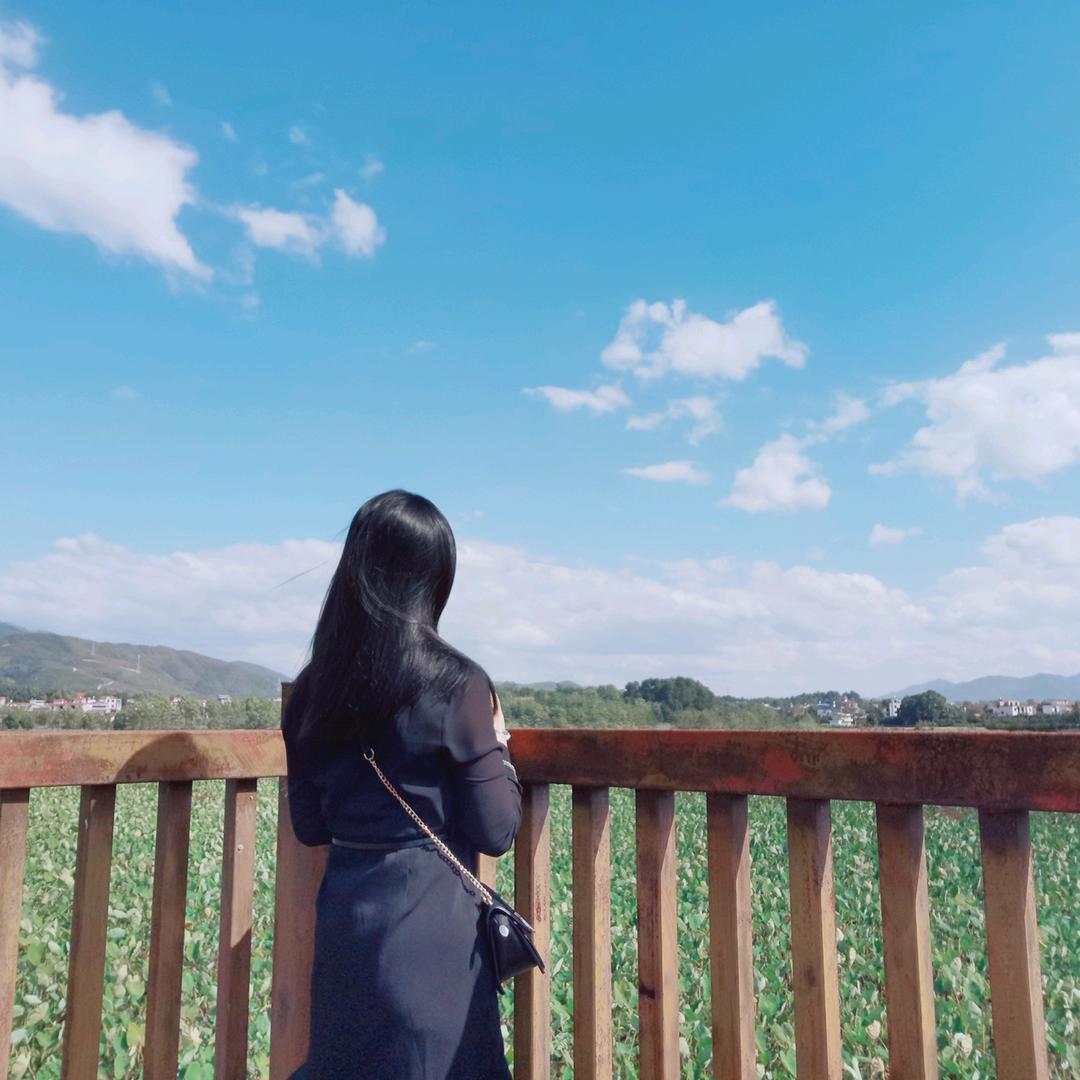 蓝山曼纱窗帘 小李