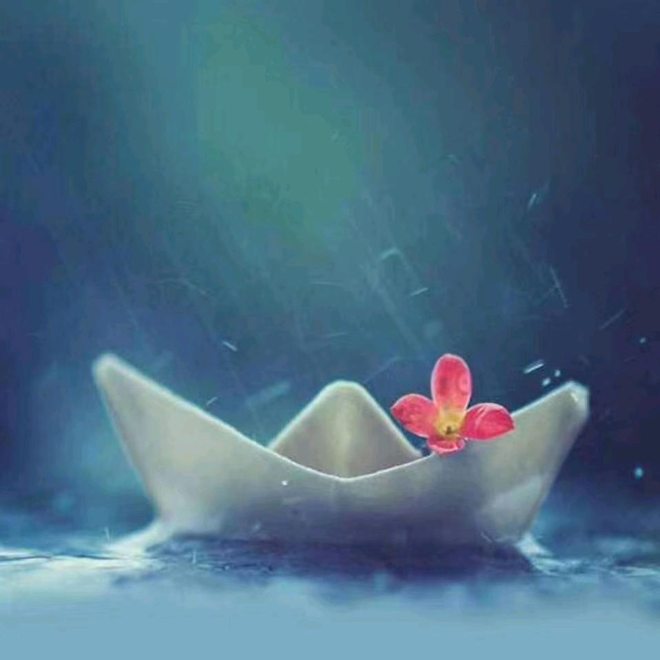 简简的房车日常