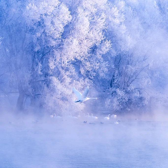 和光同尘Strive（飞阅山河）