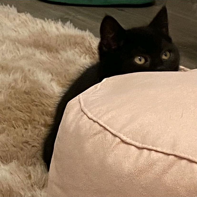 起名字真费劲🏳️‍🌈