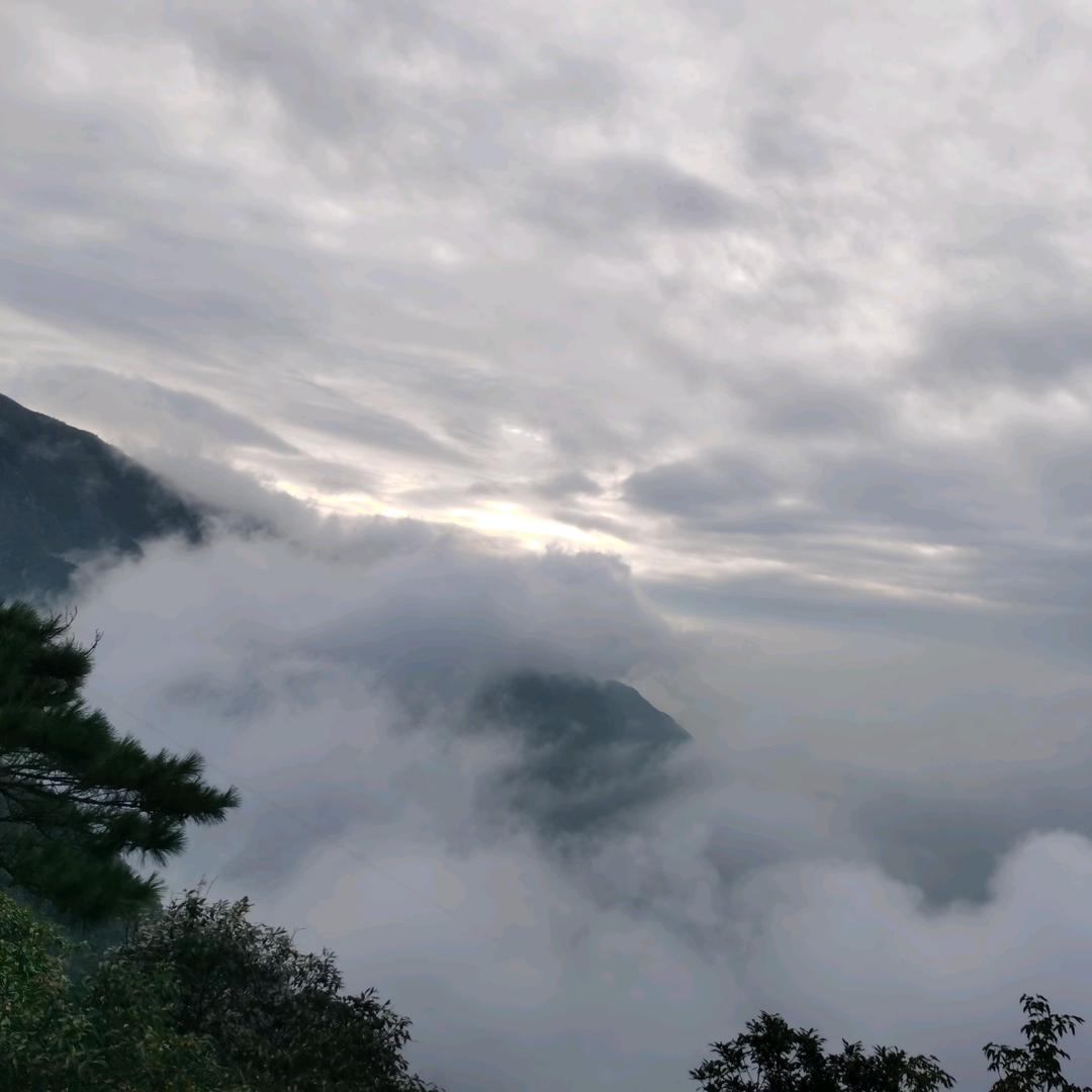 呃呃呃呃嗯