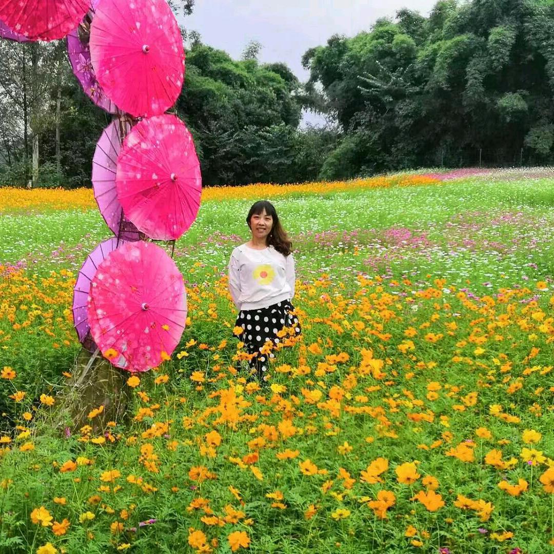 琴声歌谣💃🎹💕💖