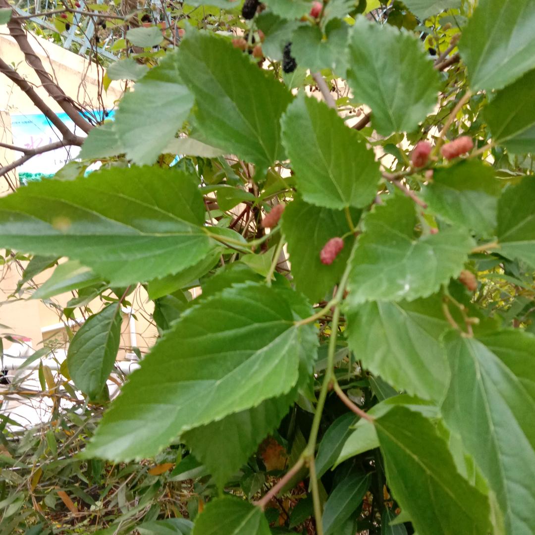 游遍天下，梦想成真