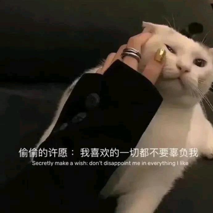 小刘爱美式