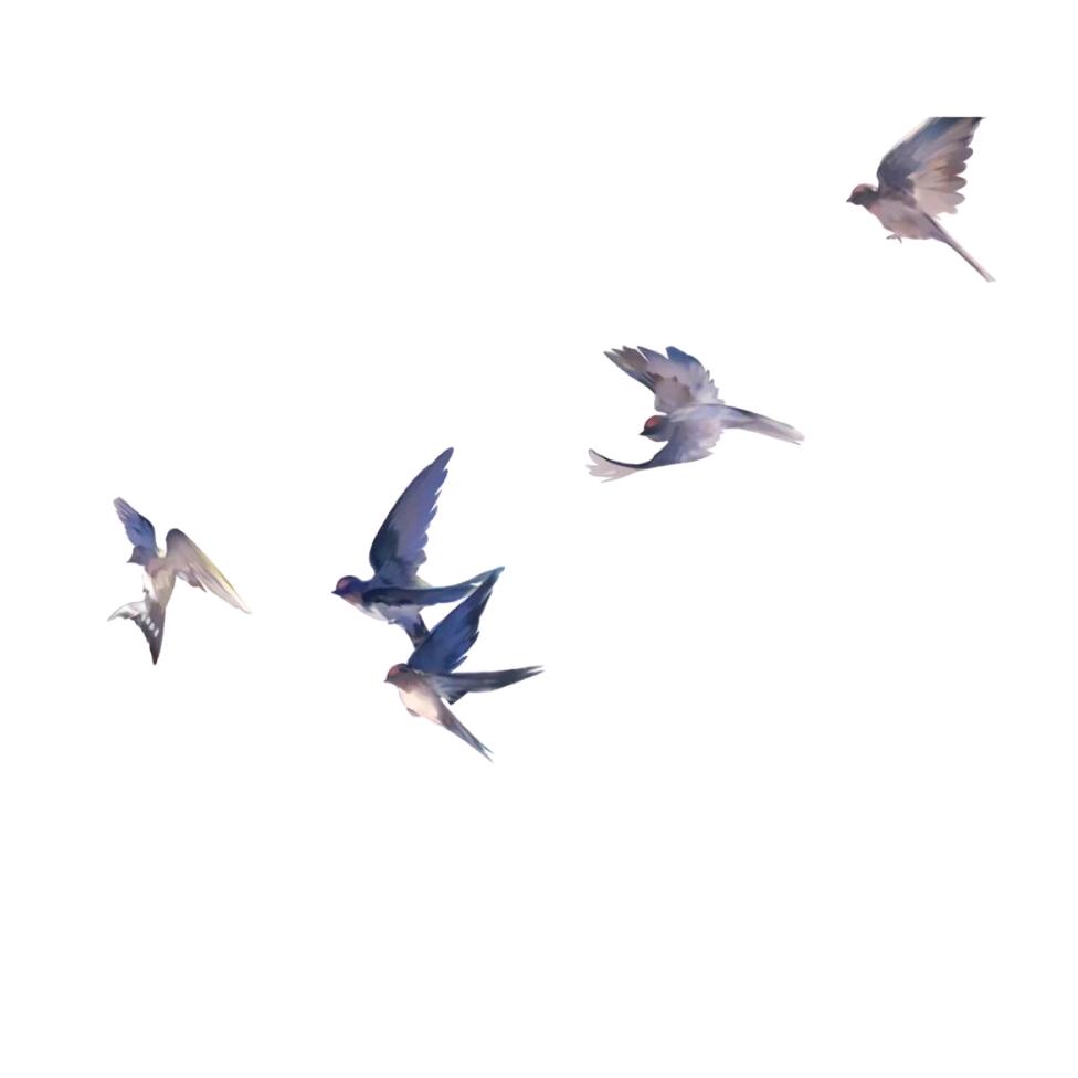 CFM无言，悠悠牌