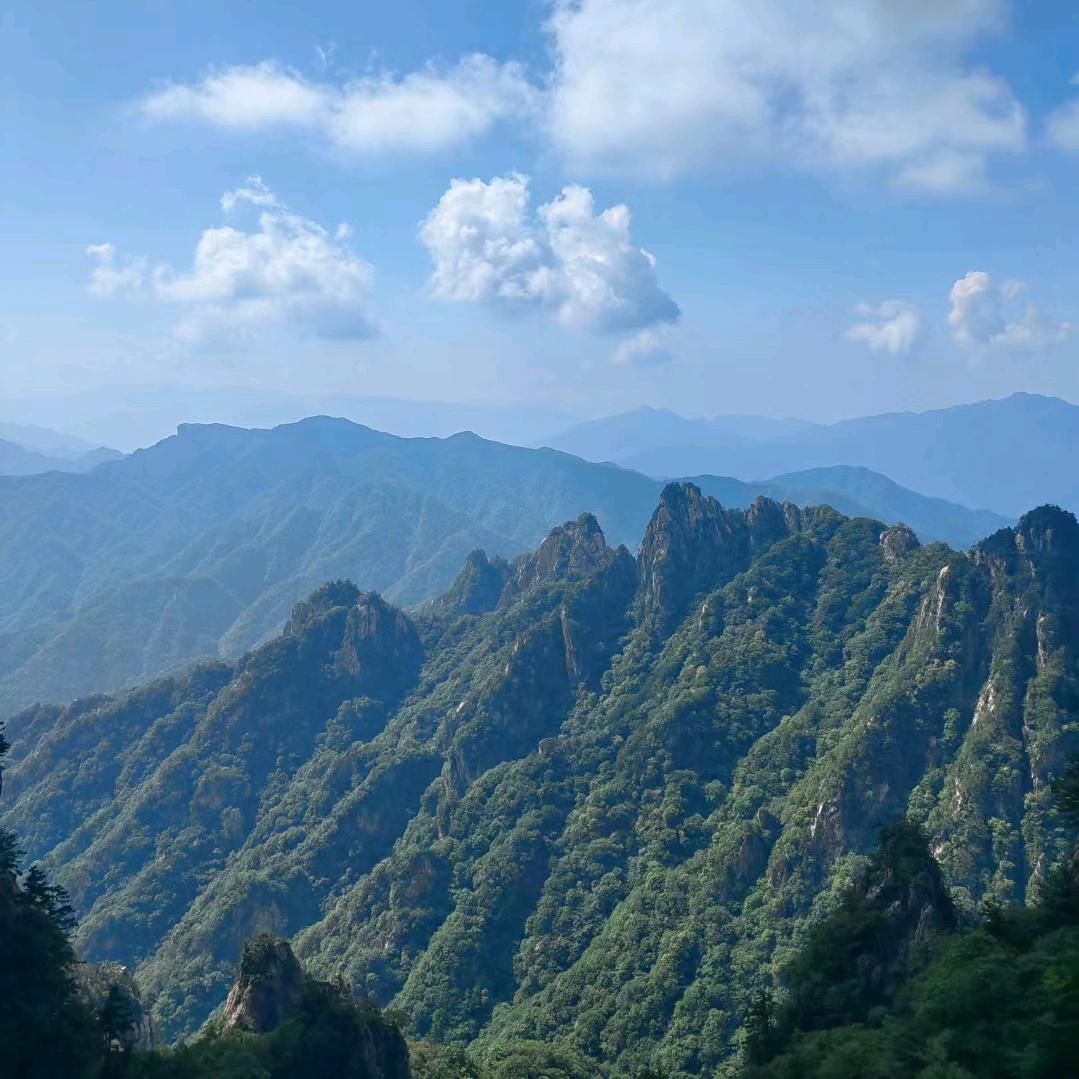空城只有旧梦在