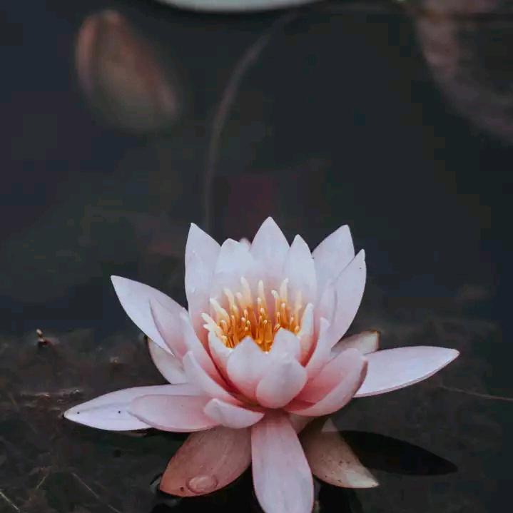 想玩就玩