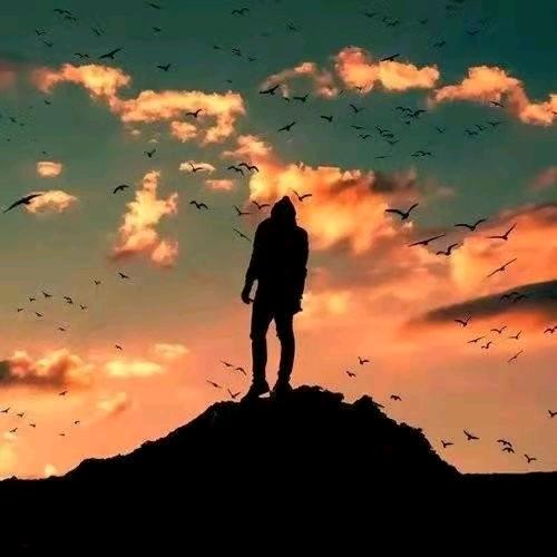 小王先生(爱尚领养平台)