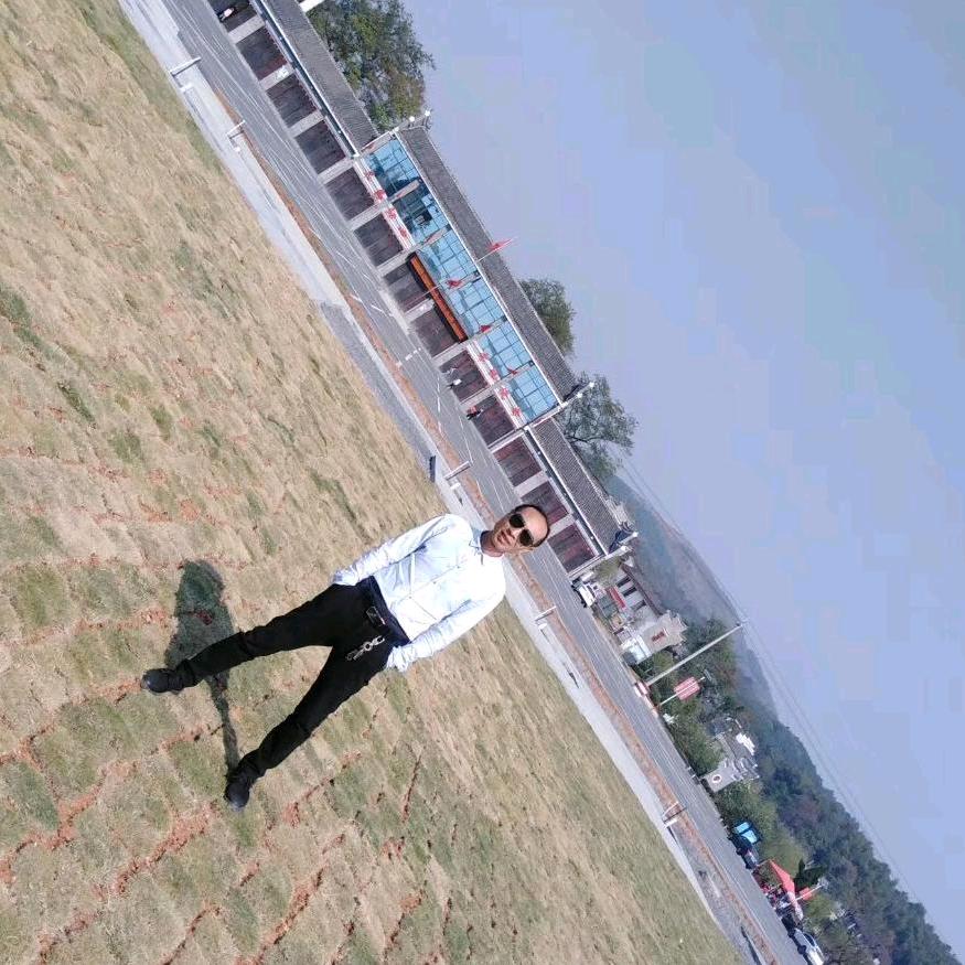 绿晨园林绿化