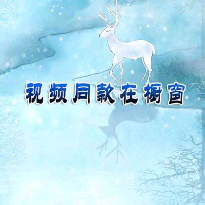 大金子抖好物