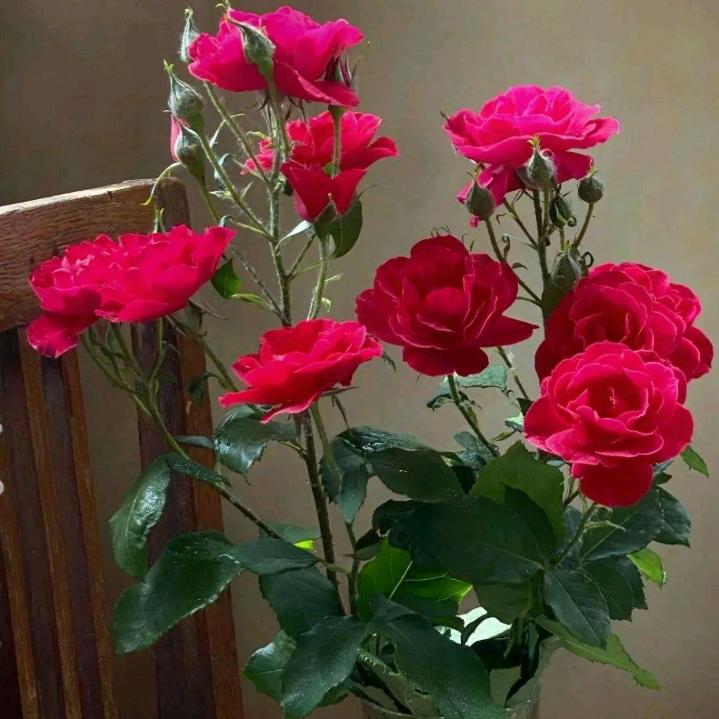 神秘乞丐封云霆头像