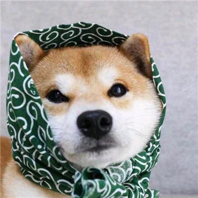 两极反转