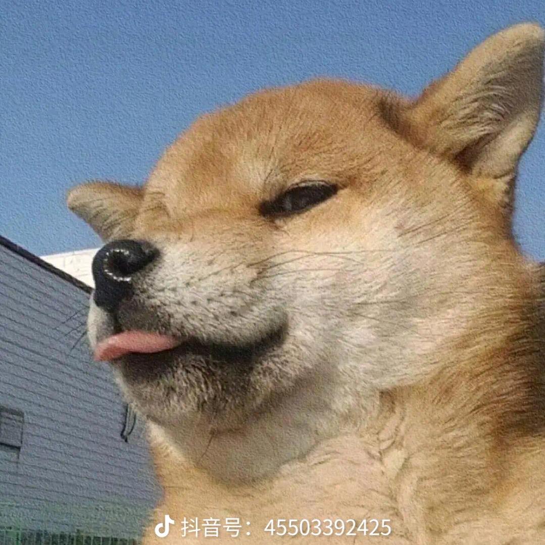 笑出屁崩出粑粑