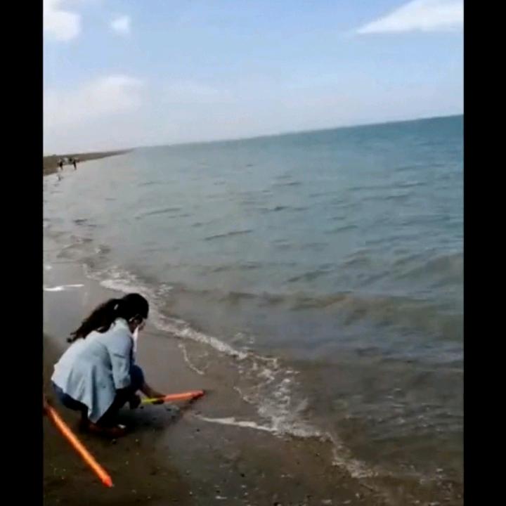 心力