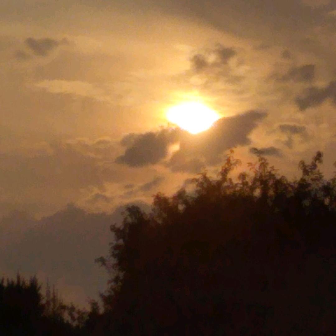 小王彩钢钢结构，阳光房，平台楼梯，不锈钢