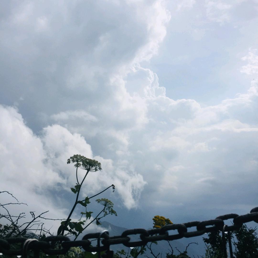 诺亚蜗牛