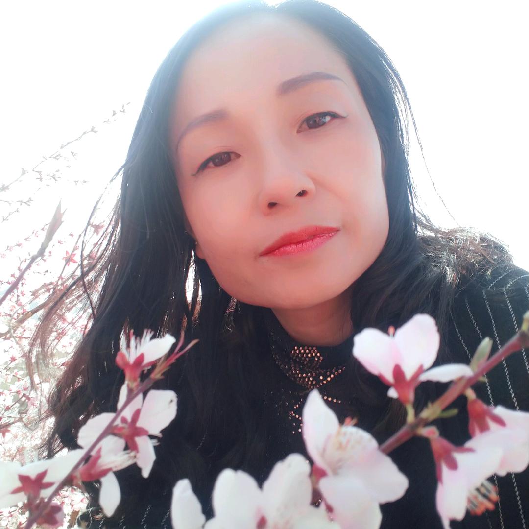 小飞象董宁宁