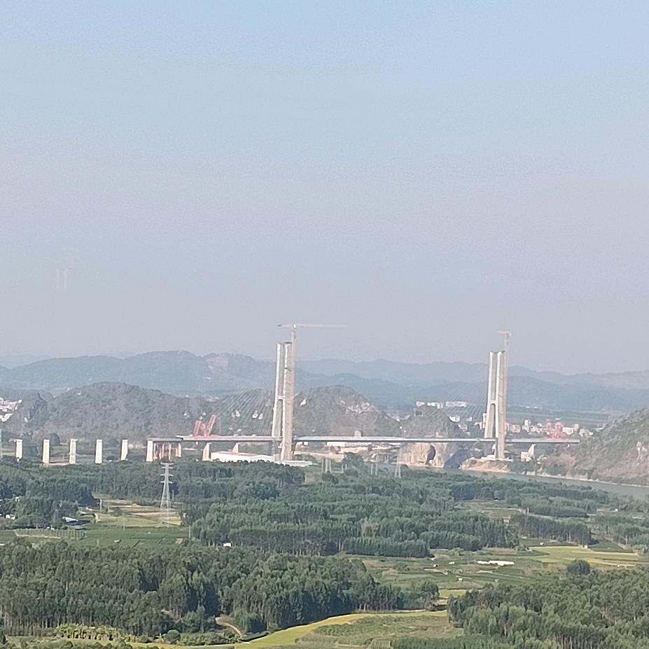 道是无情