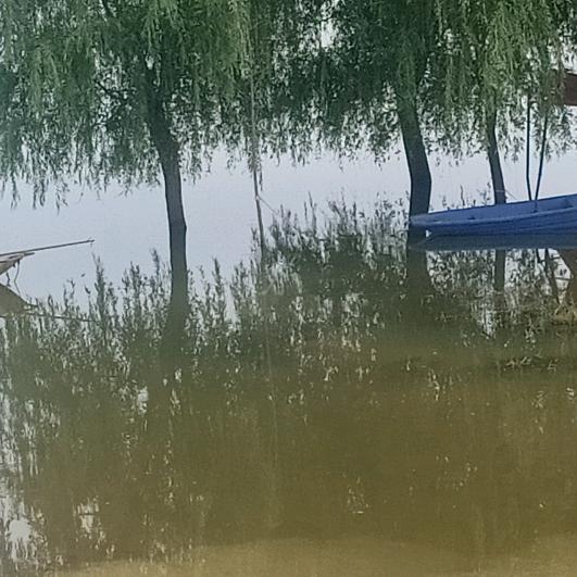 篮蓝天