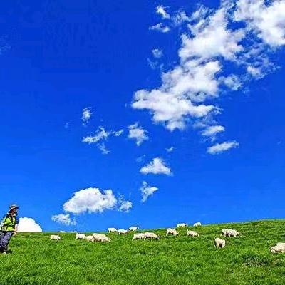 老李纯手工熟食