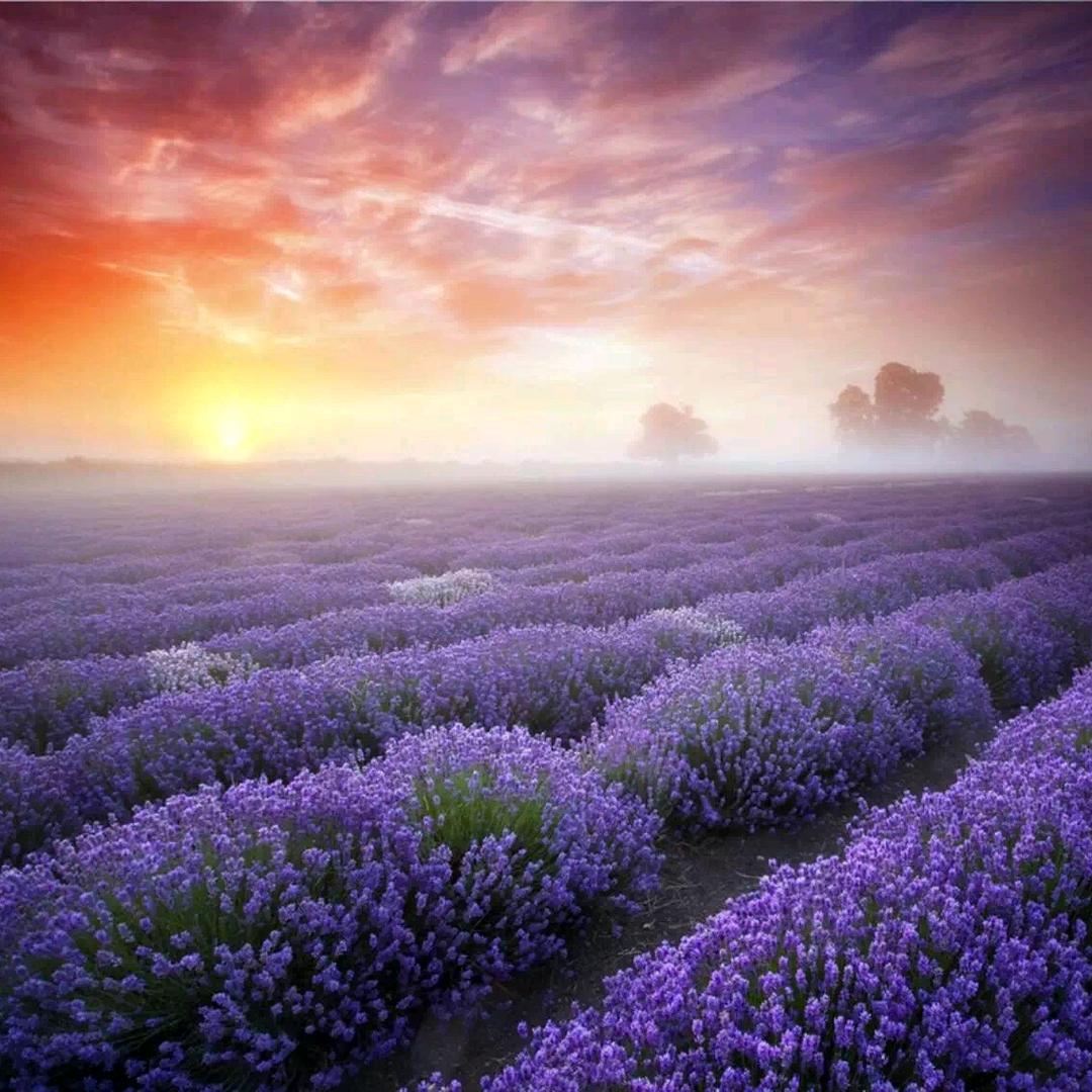 唯心独醉_206945996